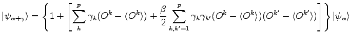 $\displaystyle \vert\psi_{\alpha+\gamma} \rangle = \left \{ 1 + \left [ \sum_k^p...
...)(O^{k'} -\langle O^{k'} \rangle) \right] \right \} \vert \psi_{\alpha} \rangle$