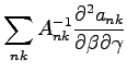 $\displaystyle \sum_{nk}A_{nk}^{-1}\frac{\partial^2 a_{nk}}{\partial \beta \partial \gamma}$